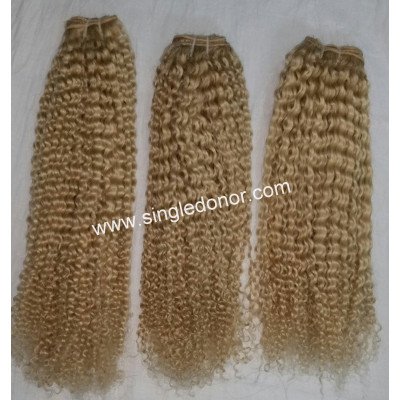 ,Indian Deep Curly Virgin Hair Raw 613 Blonde Human Hair